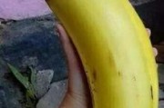 国产情侣大香蕉