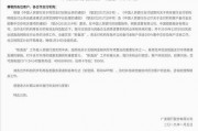 国产系列第一页,匠心独运，引领潮流的本土创新风采